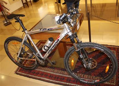 Mountainbike - Antiques and art