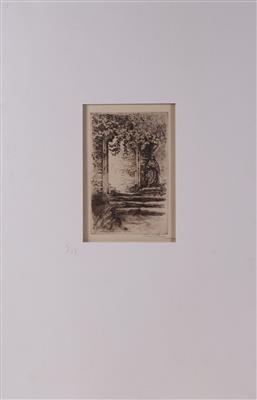 Ansicht aus der Wachau - Lithographies