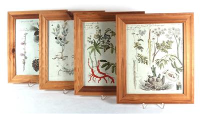 4 gerahmte, colorierte Stiche zum Thema "Pflanzen" - Antiques and art