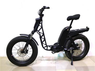 E-Bike Fantic-Issmo - Antiques and art