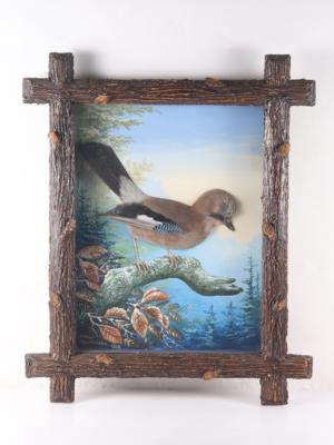 Vogelpräparat "Eichelhäher" - Kunst, Antiquitäten, Möbel und Technik