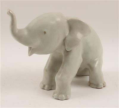 Junger Elefant, - Antiquariato e Dipinti