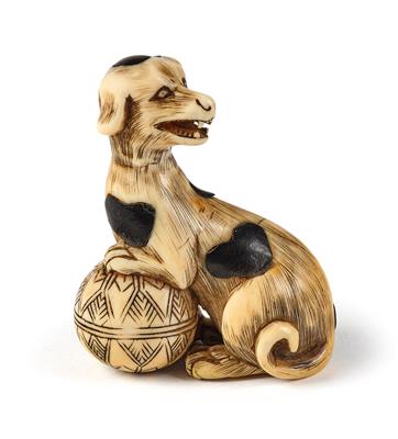 An ivory netsuke of a sitting dog with ball, Japan, Edo period, 18th/19th century, - Asiatics, Works of Art and furniture