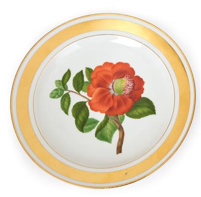 Botanischer Teller “Camellia japonica, semi duplex”, - Möbel und Antiquitäten