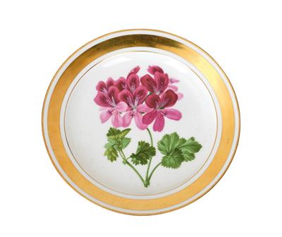 Botanischer Teller “Pelargonium Eugenianum”, - Möbel und Antiquitäten