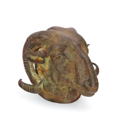 A Mouflon Head, - A Styrian Collection I