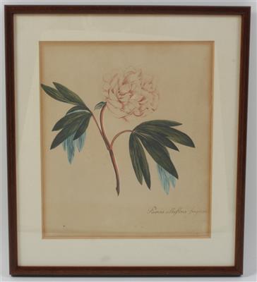 Österreich, Mitte 19. Jahrhundert - Summer-auctionSummer-auction