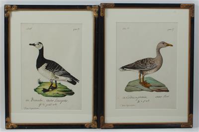 Frankreich 19. Jahrhundert - Disegni e stampe fino al 1900, acquarelli e miniature