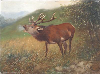 C. Küpper, um 1900 - Paintings