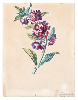 Karoline Neuber, 19. Jahrhundert - Dipinti