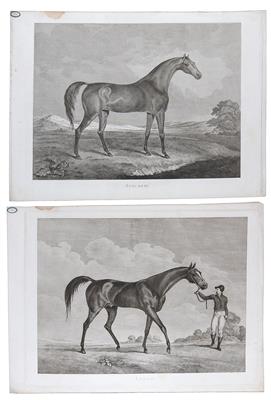 Eduard D'Alton - Meisterzeichnungen, Druckgraphik bis 1900, Aquarelle und Miniaturen