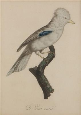 Vogelstich, Ende 19. Jahrhundert - Dipinti
