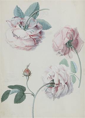 Franz Blascheck zugeschrieben/attributed (1787-1868) Rosenstudie, - Paintings