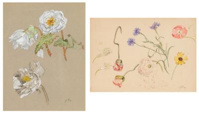 Franz Xaver Pieler - Disegni di maestri, stampe fino al 1900, acquerelli e miniature