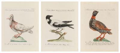 Saverio Manetti - Master drawings, prints until 1900, watercolors and miniatures