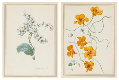 Carl Franz Gruber - Disegni di maestri, stampe fino al 1900, acquerelli e miniature