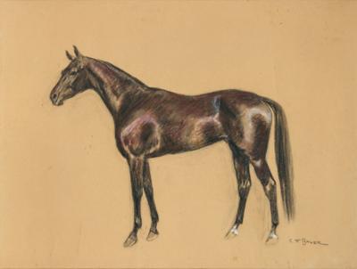 Carl Franz Bauer * - Tisky, kresby a akvarely do roku 1900