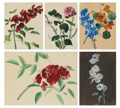 Konvolut Blumenaquarelle, 1. Hälfte 19. Jahrhundert - Stampe, disegni e acquerelli fino al 1900