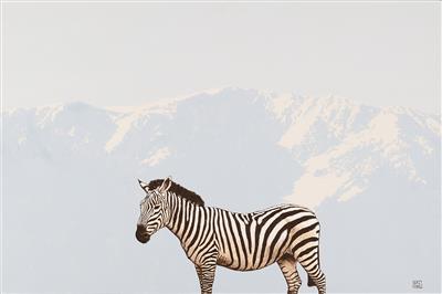 Gernot Fischer-Kondratovitch, Schneeberg Zebra I - 10. Benefiz Auktion für Delta Cultura Cabo Verde