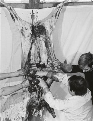 Hermann Nitsch * - Fotografie