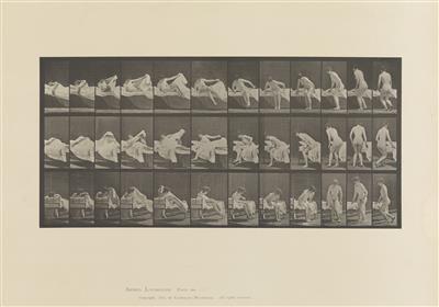 Eadweard Muybridge - Fotografia