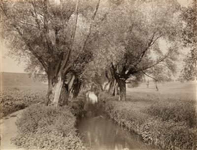 Konrad Heller - Fotografia