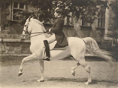 Spanish Riding School - Photography