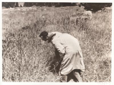 Joseph Beuys * - Druckgrafik und Editionen