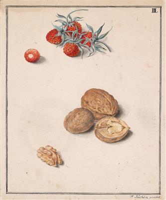 Austria, c. 1840 - Disegni e stampe fino al 1900, acquarelli e miniature