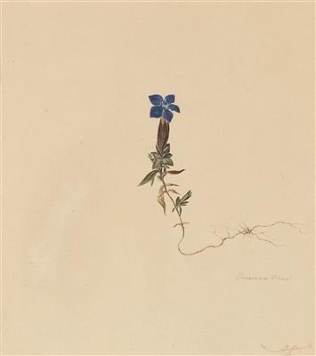 Moritz Michael Daffinger - Disegni e stampe fino al 1900, acquarelli e miniature