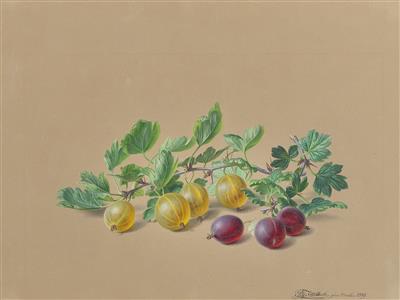 Moritz Tettelbach - Mistrovské kresby, Tisky do roku 1900, Akvarely a miniatury