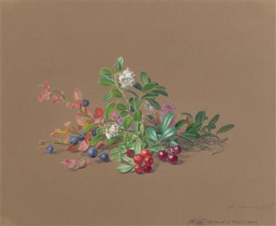Moritz Tettelbach - Mistrovské kresby, Tisky do roku 1900, Akvarely a miniatury