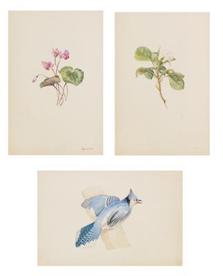Bertha von Sagburg, geb. Welzl von Wellenheim - Meisterzeichnungen, Druckgraphik bis 1900, Aquarelle u. Miniaturen