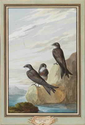 Johann Christian von Mannlich - Disegni e stampe fino al 1900, acquarelli e miniature