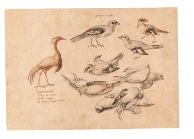 Jan van Kessel the Elder Follower - Master Drawings, Prints before 1900, Watercolours, Miniatures