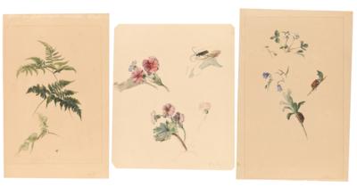 Franz Xaver Petter - Disegni e stampe fino al 1900, acquarelli e miniature