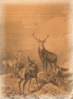 Franz Xaver von Pausinger - Meisterzeichnungen und Druckgraphik bis 1900, Aquarelle, Miniaturen