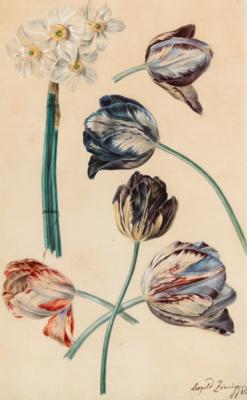 Leopold Zinnögger - Disegni e stampe fino al 1900, acquarelli e miniature