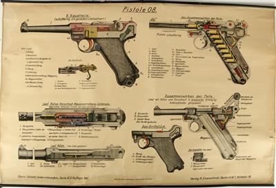 Schautafel, Pistole 08, - Historische Waffen, Uniformen, Militaria - Schwerpunkt österreichische Gendarmerie und Polizei