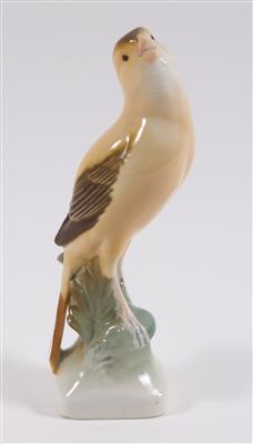 Singender Kanarienvogel, - Antiquariato