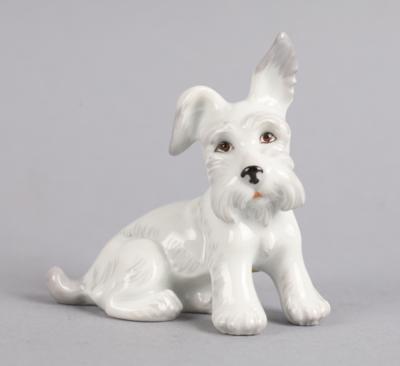 Junger Scottish Terrier, Wiener Porzellanmanufaktur Augarten, - Starožitnosti
