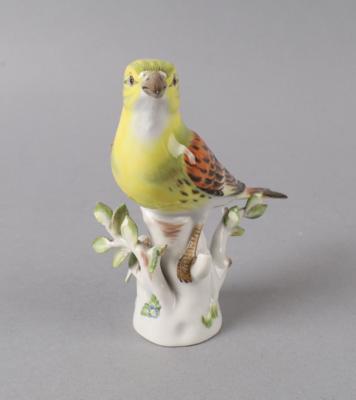 Goldammer, Meissen 1955 - Antiquariato