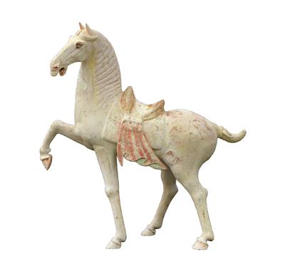 Großes tänzelndes Pferd, China, Tang Dynastie - Antiquitäten