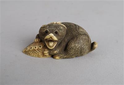 Netsuke eines jungen Hundes mit Awabi Muschel, Japan, 19. Jh., - Asiatische Kunst