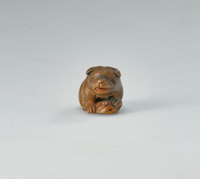 Netsuke eines Welpen mit Muschel, Japan, 19. Jh., - Asian Art