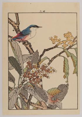 Imao Keinen (1845-1924), - Asijské umění
