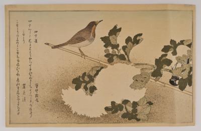 Kitagawa Utamaro (1753-1806) Meiji-Nachschnitt, - Arte Asiatica