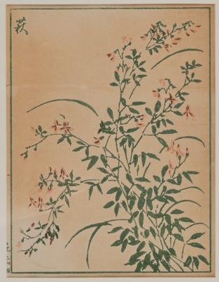 Kitao Masayoshi (1764-1824), - Arte Asiatica