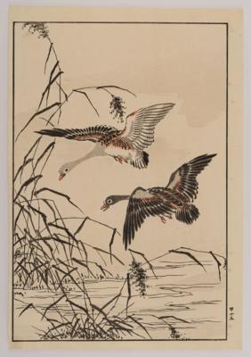 Kono Barei (1844-1895), - Asian Art