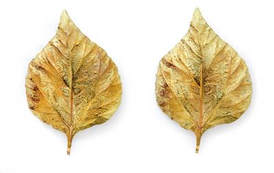 Zwei "Leaf"-Appliquen, Entwurf Tommaso Barbi, - Design